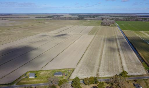 Photo #13 of 2815 North Gum Neck Road, Columbia, NC 1,548.0 acres