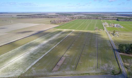 Photo #14 of 2815 North Gum Neck Road, Columbia, NC 1,548.0 acres