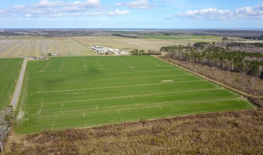 Photo #15 of 2815 North Gum Neck Road, Columbia, NC 1,548.0 acres