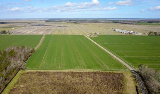 Photo #16 of 2815 North Gum Neck Road, Columbia, NC 1,548.0 acres