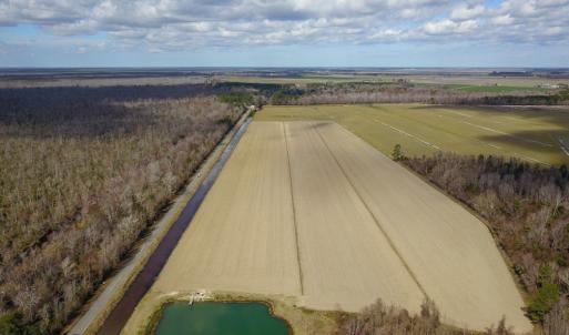 Photo #17 of 2815 North Gum Neck Road, Columbia, NC 1,548.0 acres