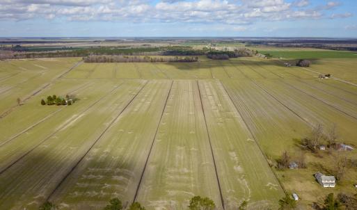 Photo #18 of 2815 North Gum Neck Road, Columbia, NC 1,548.0 acres