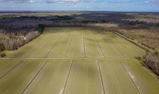 Photo #21 of 2815 North Gum Neck Road, Columbia, NC 1,548.0 acres