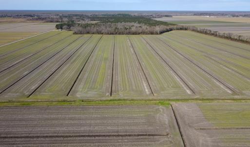 Photo #4 of 2815 North Gum Neck Road, Columbia, NC 1,548.0 acres