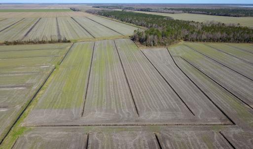 Photo #5 of 2815 North Gum Neck Road, Columbia, NC 1,548.0 acres