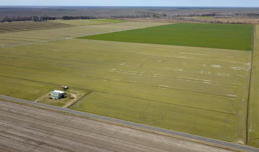 Photo #8 of 2815 North Gum Neck Road, Columbia, NC 1,548.0 acres