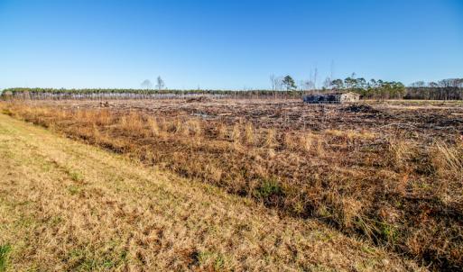 Photo #9 of SOLD property in Off Highway 17, Vanceboro, NC 7.7 acres