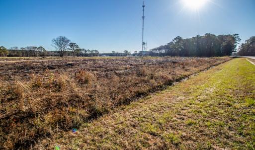 Photo #10 of SOLD property in Off Highway 17, Vanceboro, NC 7.7 acres