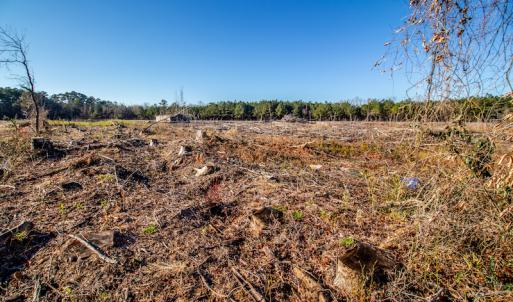 Photo #11 of SOLD property in Off Highway 17, Vanceboro, NC 7.7 acres