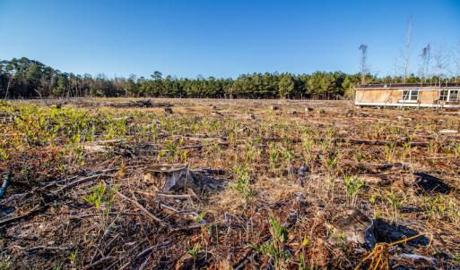 Photo #12 of SOLD property in Off Highway 17, Vanceboro, NC 7.7 acres