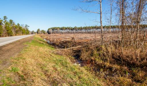 Photo #13 of SOLD property in Off Highway 17, Vanceboro, NC 7.7 acres