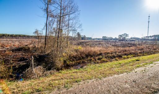 Photo #14 of SOLD property in Off Highway 17, Vanceboro, NC 7.7 acres