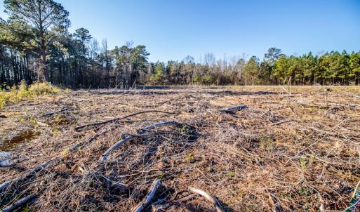 Photo #6 of SOLD property in Off Highway 17, Vanceboro, NC 7.7 acres