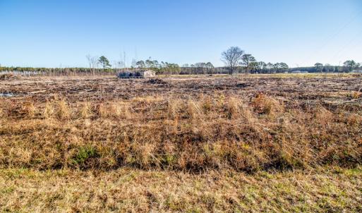 Photo #8 of SOLD property in Off Highway 17, Vanceboro, NC 7.7 acres