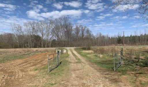 Photo #29 of SOLD property in 35935 NC Highway 561, Hollister, NC 80.0 acres