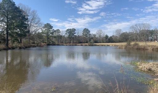 Photo #34 of SOLD property in 35935 NC Highway 561, Hollister, NC 80.0 acres