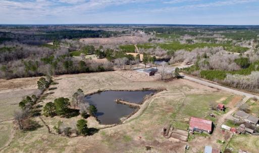 Photo #43 of SOLD property in 35935 NC Highway 561, Hollister, NC 80.0 acres