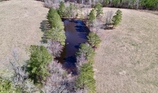 Photo #50 of SOLD property in 35935 NC Highway 561, Hollister, NC 80.0 acres