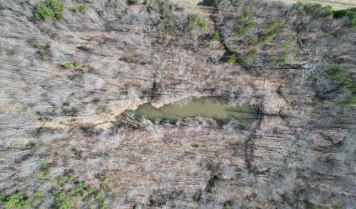 Photo #8 of Off Deer View Road, Gretna, VA 57.5 acres