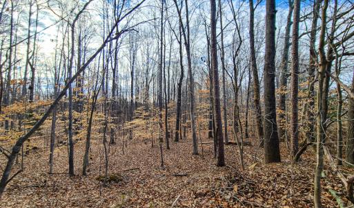 Photo #29 of SOLD property in 675 Herman Farmer Road, Keeling, VA 35.0 acres