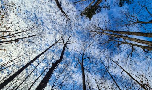 Photo #30 of SOLD property in 675 Herman Farmer Road, Keeling, VA 35.0 acres