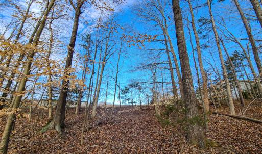 Photo #31 of SOLD property in 675 Herman Farmer Road, Keeling, VA 35.0 acres