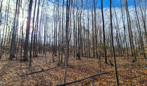 Photo #32 of SOLD property in 675 Herman Farmer Road, Keeling, VA 35.0 acres