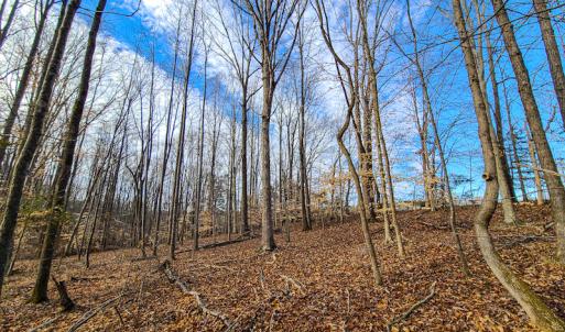 Photo #33 of SOLD property in 675 Herman Farmer Road, Keeling, VA 35.0 acres