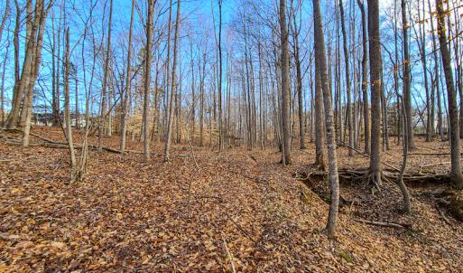 Photo #34 of SOLD property in 675 Herman Farmer Road, Keeling, VA 35.0 acres