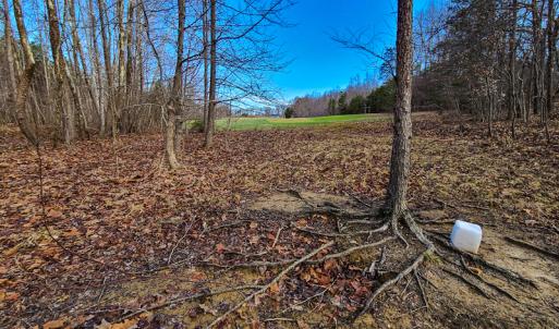 Photo #48 of SOLD property in 675 Herman Farmer Road, Keeling, VA 35.0 acres