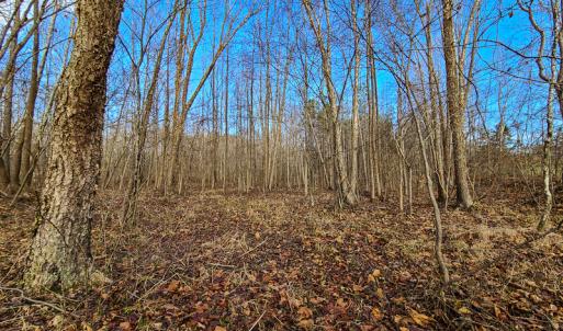 Photo #49 of SOLD property in 675 Herman Farmer Road, Keeling, VA 35.0 acres