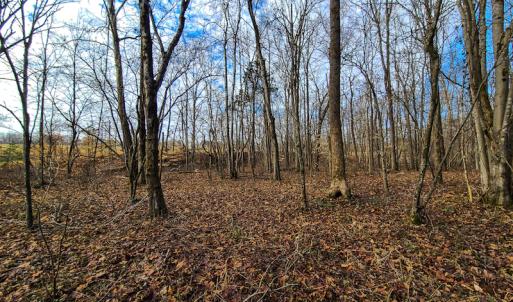 Photo #50 of SOLD property in 675 Herman Farmer Road, Keeling, VA 35.0 acres