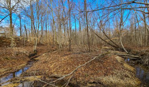 Photo #52 of SOLD property in 675 Herman Farmer Road, Keeling, VA 35.0 acres
