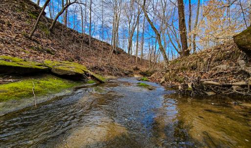 Photo #53 of SOLD property in 675 Herman Farmer Road, Keeling, VA 35.0 acres