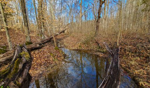 Photo #58 of SOLD property in 675 Herman Farmer Road, Keeling, VA 35.0 acres