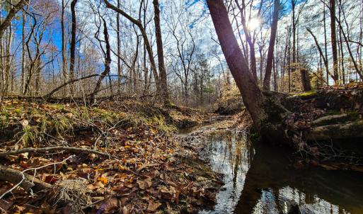 Photo #59 of SOLD property in 675 Herman Farmer Road, Keeling, VA 35.0 acres