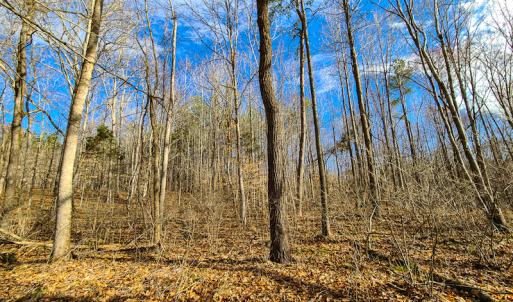 Photo #60 of SOLD property in 675 Herman Farmer Road, Keeling, VA 35.0 acres