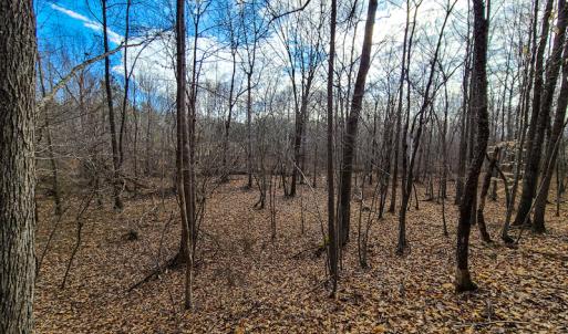 Photo #61 of SOLD property in 675 Herman Farmer Road, Keeling, VA 35.0 acres