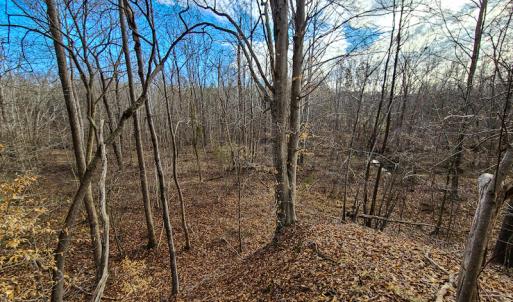 Photo #63 of SOLD property in 675 Herman Farmer Road, Keeling, VA 35.0 acres
