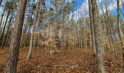 Photo #64 of SOLD property in 675 Herman Farmer Road, Keeling, VA 35.0 acres