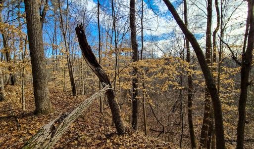 Photo #65 of SOLD property in 675 Herman Farmer Road, Keeling, VA 35.0 acres