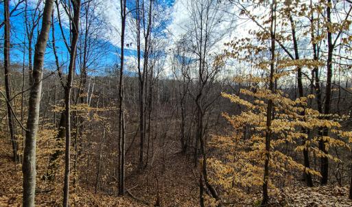 Photo #66 of SOLD property in 675 Herman Farmer Road, Keeling, VA 35.0 acres
