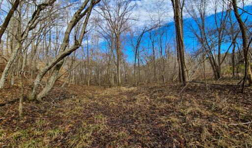 Photo #68 of SOLD property in 675 Herman Farmer Road, Keeling, VA 35.0 acres
