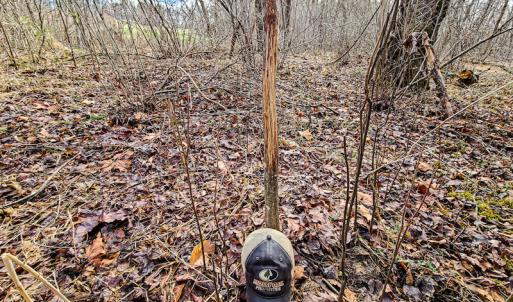 Photo #69 of SOLD property in 675 Herman Farmer Road, Keeling, VA 35.0 acres