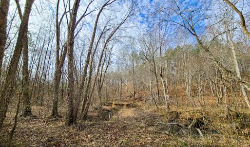 Photo #70 of SOLD property in 675 Herman Farmer Road, Keeling, VA 35.0 acres