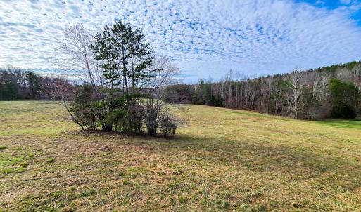Photo #73 of SOLD property in 675 Herman Farmer Road, Keeling, VA 35.0 acres