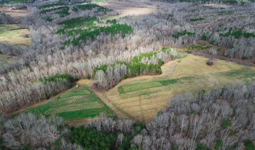 Photo #81 of SOLD property in 675 Herman Farmer Road, Keeling, VA 35.0 acres
