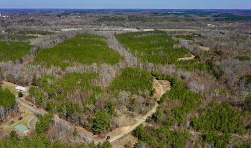 Photo #2 of SOLD property in Off Hog Wallow Road, Nathalie, VA 98.4 acres