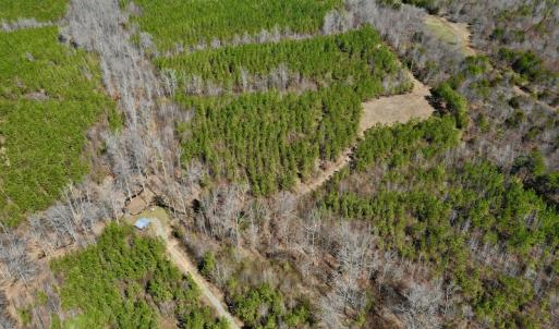 Photo #4 of SOLD property in Off Hog Wallow Road, Nathalie, VA 98.4 acres
