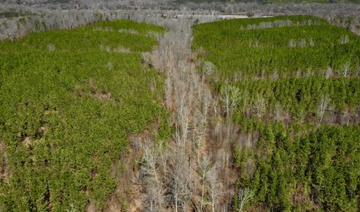 Photo #5 of SOLD property in Off Hog Wallow Road, Nathalie, VA 98.4 acres